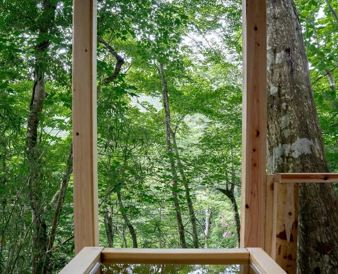 高台の森に佇むモダニズム建築 露天風呂 サウナ 檜風呂 Enn Hakone Villa