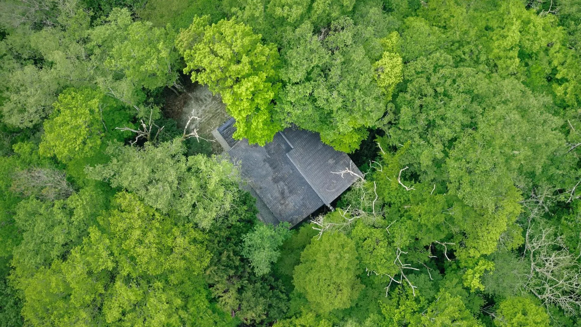 高台の森に佇むモダニズム建築 露天風呂 サウナ 檜風呂 Enn Hakone Villa
